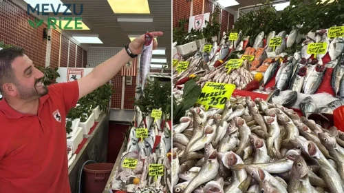 Balık Sezonu Palamutla Başladı: Tezgahlarda Görülen Bolluk Göz Doldurdu!