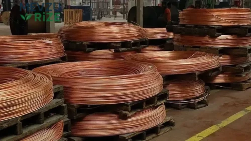 Saçların Sık Yağlanmasının Şaşırtıcı Nedenleri Açıklandı!