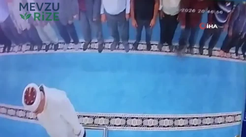 Erzurum'da Camide Hayvanlara Şiddet Uygulayan Kişi Gözaltına Alındı!