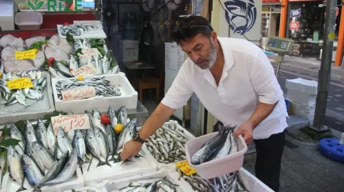 Balık fiyatları çakıldı: Hamsi 200, palamut 100 TL! Balık tezgahları doldu taştı.
