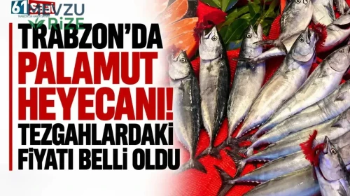 Trabzon'da Palamut Sezonu Başladı! Tezgahlar Müşterilerini Bekliyor!