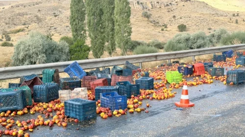 Ankara Polatlı'da tır yan yattı : Şeftaliler yola saçıldı