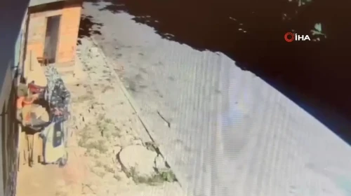 Arnavutköy'de saksıdaki çiçekleri çalan kadın kamerada: ''Kaynanamın en sevdiği çiçekti"