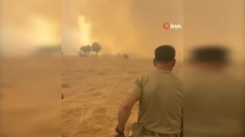 Diyarbakır Silvan'da ormanlık alanda yangın çıktı
