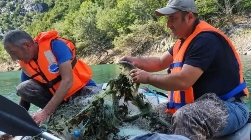Elazığ'da Baraj Altında Su Altı Zenginliği Araştırması: Balık Stokları Tespit Edilecek