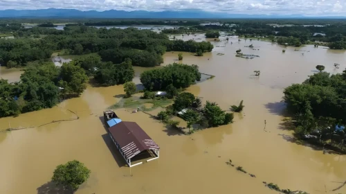 Bihar’da Şiddetli Yağışlar Etkisiyle 4,3 Milyon Kişi Zorluk Yaşıyor