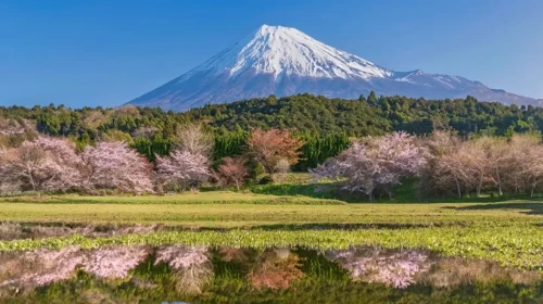 Japonya'da Fuji Dağı'nda Kurtarma Operasyonları Artık Ücretli Hale Geldi!
