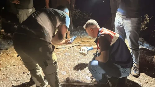 Ormanlık alanda tüyler ürperten keşif ! Hayvan otlatan çoban kafatası buldu