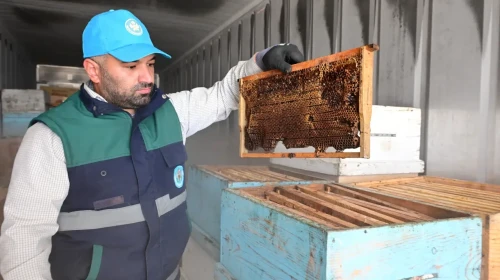 Petekler artık çöpe gitmeyecek: Arıcıların yüzünü güldüren sistem