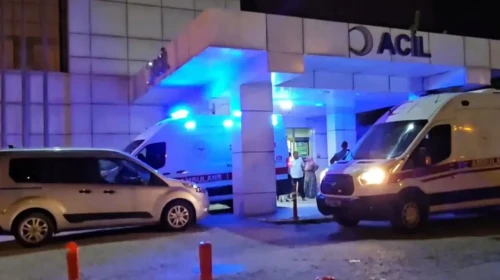 Sakarya'da aile faciası: 16 yaşındaki genç annesini öldürdü