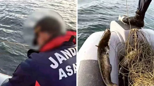 Sapanca Gölü'nde bin 100 metrelik kaçak av düzeneği bulundu: Yüzlercesi kurtarıldı