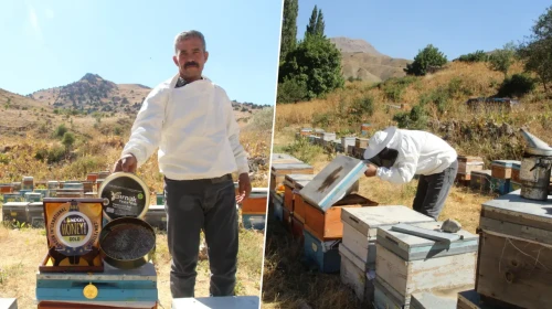 Şırnak'tan Londra'ya uzanan başarı hikayesi: 10 kovan ile başladı, 450 kovan bala ulaştı"Balı burada ürettiğimiz için çok mutluyum"
