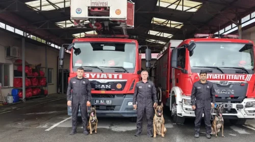 Trabzon'da arama kurtarma köpekleri için özel eğitim ! 20 kurumdan 40 personel ve 70 köpek katıldı