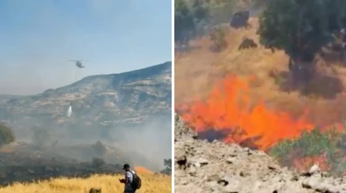 Tunceli'de örtü yangını: Alevlere havadan ve karadan müdahale