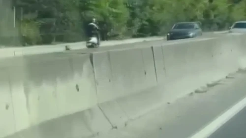 Bu kadarına pes: Yalova'da ters yöne giren motosiklet sürücüsü tehlike saçtı