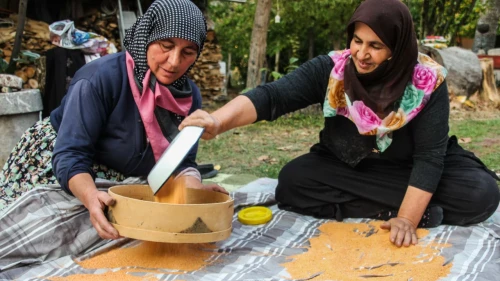 Rize’de İmece Kültürü Sürüyor mu? Karadeniz’in Dayanışma Geleneği Yaşatılıyor