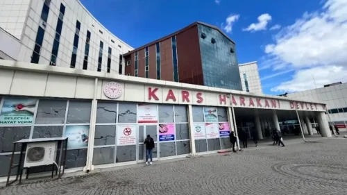 Kurban Bayramı'nın "acemi kasapları" hastanelik oldu