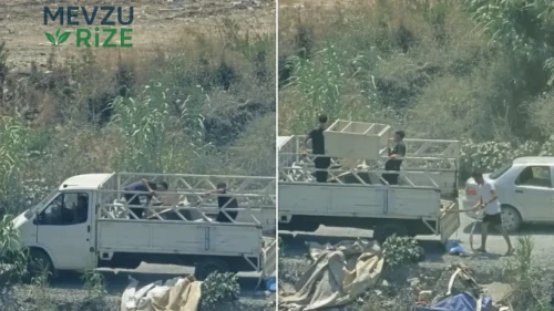 Dereye Kamyonlarla Atık Malzeme Dökülmesi Anbean Kameraya Yansıdı!