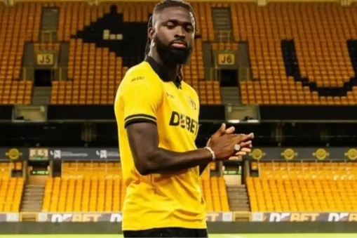 Tolu Arokodare: Genç Yetenek ve Futbol Kariyeri Üzerine Bilgiler