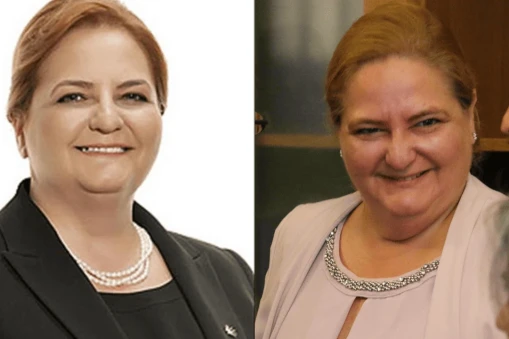 Bihlun Tamaylıgil Kimdir?