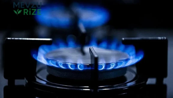 Bakan Göktaş'tan Açıklama: Doğal Gaz Desteği 1 Milyar Lirayı Geçti!