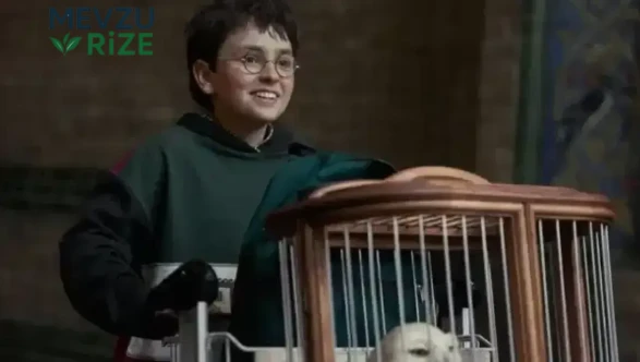Game of Thrones yıldızı kadroda: Harry Potter dizisinin 2. sezon kadrosu genişliyor!