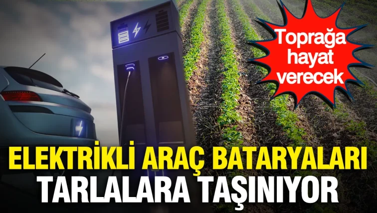 Elektrikli araç bataryaları tarlalara taşınıyor: Toprağa hayat verecek