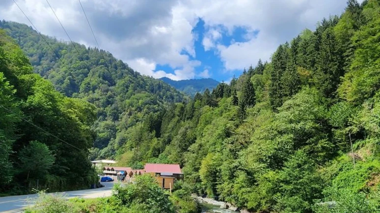 Şifalı Sular ve Doğanın Renk Cümbüşü: Sonbahar İçin İyileşme Noktanız!