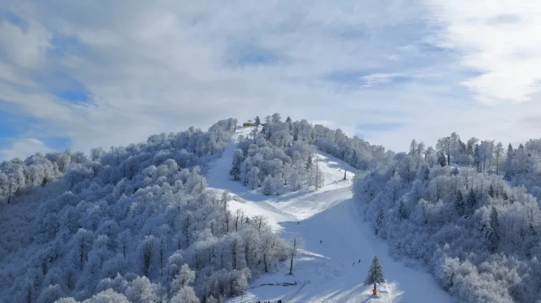 Kartepe: Kış Turizminin Gözde Noktası ve Doğa Cenneti!