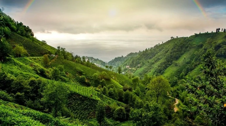 Karadeniz'in Saklı Cennetleri