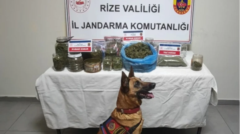 Rize'de uyuşturucu operasyonu: 2.5 kg esrar ve 5 gözaltı!