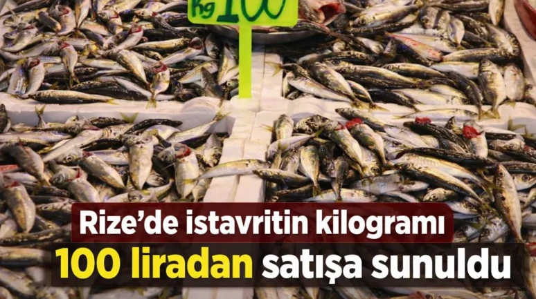 Rize'de istavritin kilogramı 100 liradan satışa sunuldu