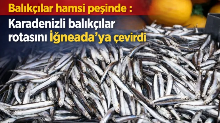 Balıkçılar hamsi peşinde : Karadenizli balıkçılar rotasını İğneada'ya çevirdi