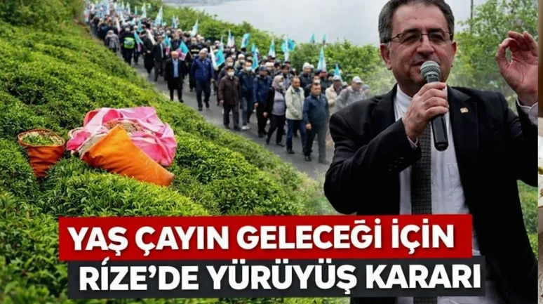 Rize’de Yaş Çay İçin Yürüyüş Kararı: 28 Mart’ta Üreticiler Sokağa Çıkıyor