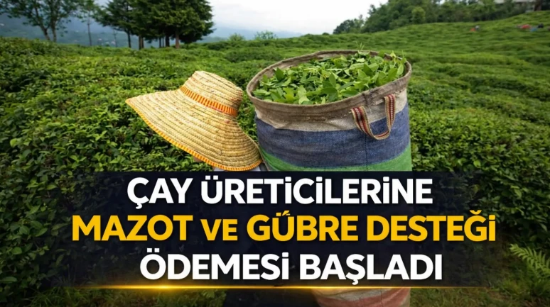 Çay üreticilerine mazot ve gübre desteği ödemesi başladı