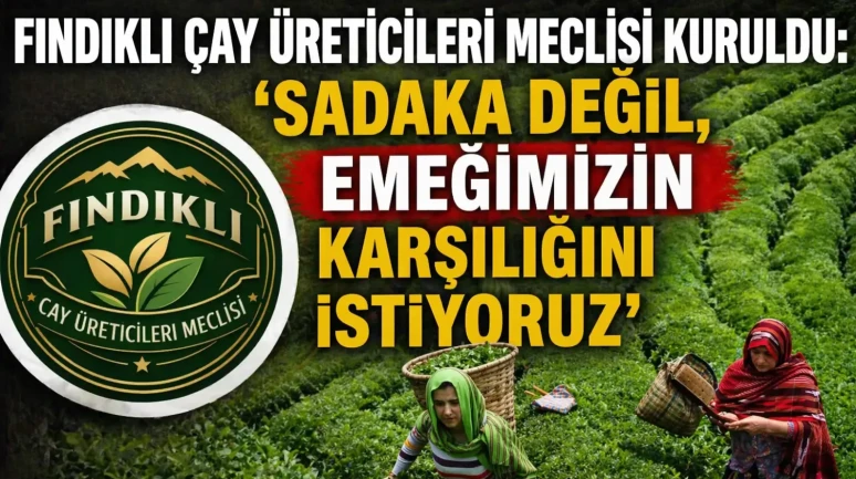 Fındıklı Çay Üreticileri Meclisi kuruldu: 'Sadaka değil, emeğimizin karşılığını istiyoruz'