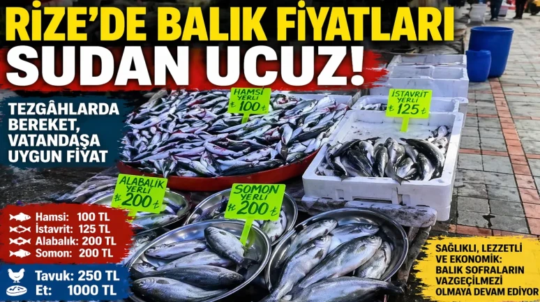 Rize’de Balık Fiyatları Sudan Ucuz: Tezgâhlarda Bereket, Vatandaşa Uygun Fiyat