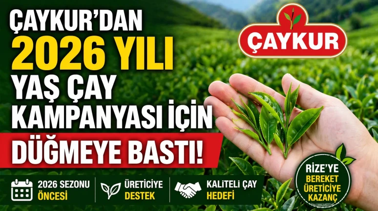 Çaykur 2026 yılı yaş çay kampanyası için düğmeye bastı