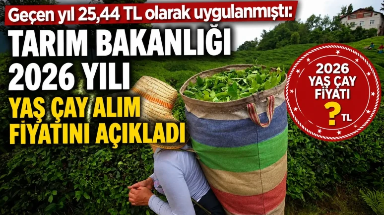 Geçen yıl 25,44 TL olarak uygulanmıştı: Tarım Bakanlığı 2026 yılı yaş çay alım fiyatını açıkladı