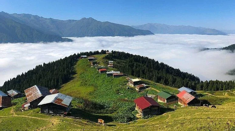 Karadeniz'de Köyüne Dönmek İsteyenlerin Sayısı Artıyor: En Çok Tercih Edilen İlçeler Belli Oldu