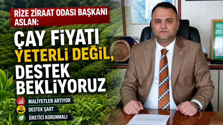 Rize Ziraat Odası Başkanı Aslan: Çay Fiyatı Yeterli Değil, Destek Bekliyoruz