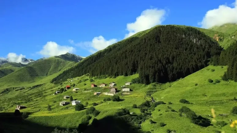 Gürcüdüzü Yaylası nerede? Gürcüdüzü Yaylasına nasıl gidilir, güzel mi?