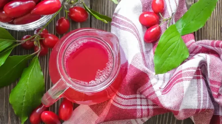 Antibiyotik Direncine Karşı Geleneksel Bir Mucize: Hem Lezzetli Hem Şifa Kaynağı!