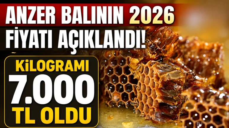 Anzer Balının 2026 Fiyatı Açıklandı: Kilogramı 7 Bin TL Oldu