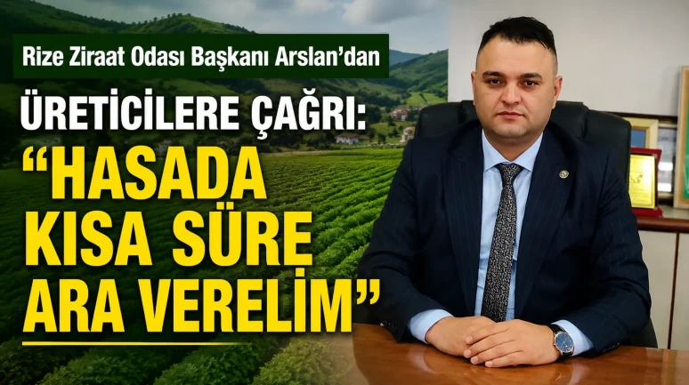 Rize Ziraat Odası Başkanı Arslan’dan Üreticilere Çağrı: Hasada Kısa Süre Ara Verelim
