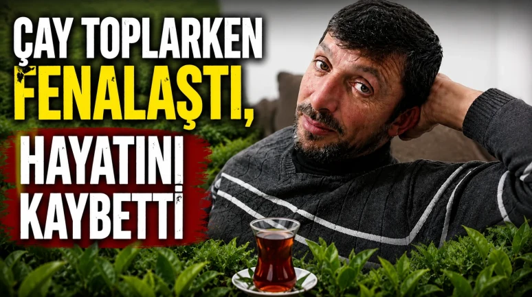 Çay Hasadı Sırasında Bayılan İşçi Hayatını Kaybetti