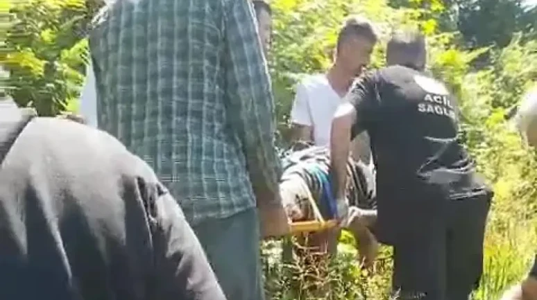 Kiraz toplamak için çıktığı ağaçtan düştü