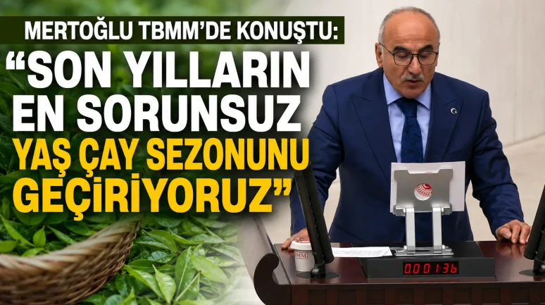 Mertoğlu TBMM'de Konuştu: Son Yılların En Sorunsuz Yaş Çay Sezonunu Geçiriyoruz
