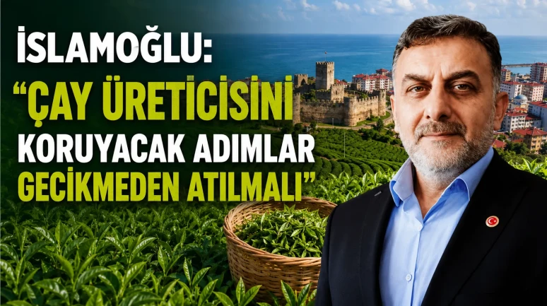 İslamoğlu: Çay Üreticisini Koruyacak Adımlar Gecikmeden Atılmalı