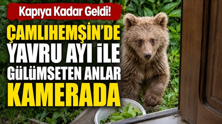 Kapıya Kadar Geldi! Çamlıhemşin'de Yavru Ayı ile Gülümseten Anlar Kamerada